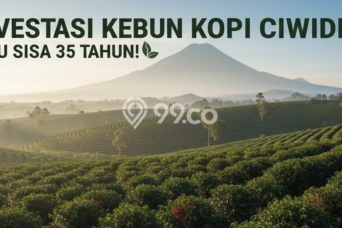 Tanah Dijual Lokasi Ciwidey, Bandung dengan Luas Tanah 10000m2 dan Status HGU Tanah Dijual Lokasi Ciwidey, Bandung dengan Luas Tanah 10000m2 dan Status HGU