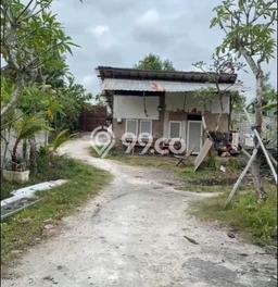 Jarang Ada! Tanah Kavling Disewakan di Badung 600m2 Jarang Ada! Tanah Kavling Disewakan di Badung 600m2