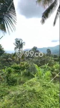 Lahan Dijual Lokasi Strategis di Buleleng dengan Luas 7500m2 Lahan Dijual Lokasi Strategis di Buleleng dengan Luas 7500m2