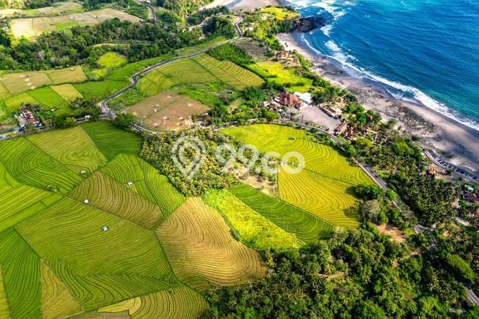 Kavling Tanah Dijual di Tabanan, Tabanan, Luas 3700m2 Area Strategis Kavling Tanah Dijual di Tabanan, Tabanan, Luas 3700m2 Area Strategis