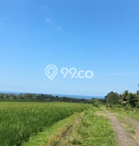 Lahan Strategis di Tabanan Dijual dengan Luas 3700m2 Lahan Strategis di Tabanan Dijual dengan Luas 3700m2
