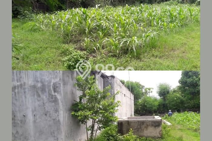 Untuk Dijual Tanah di Buleleng, Luas 1200m2 SHM Untuk Dijual Tanah di Buleleng, Luas 1200m2 SHM