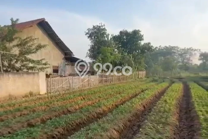 Dijual Tanah di Cibitung Bekasi Luas 610m2 SHM Dijual Tanah di Cibitung Bekasi Luas 610m2 SHM