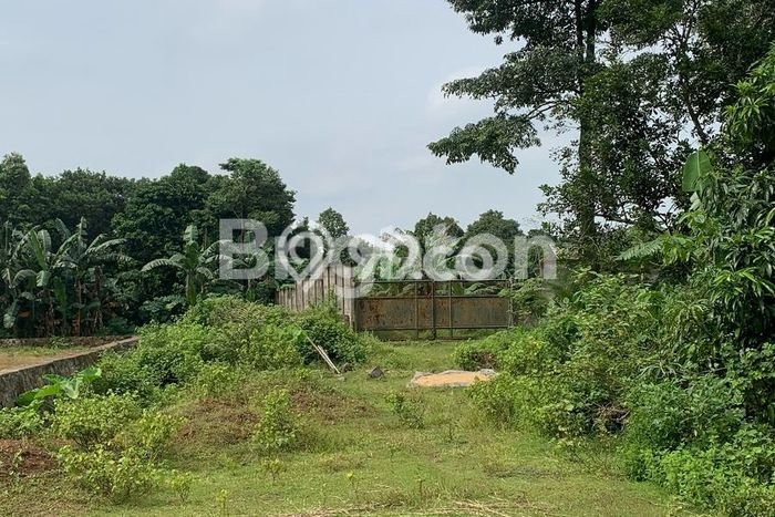 Lahan Kosong Dijual di Serang dengan Area 9013m2 Lahan Kosong Dijual di Serang dengan Area 9013m2