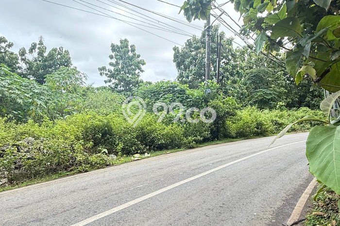 Tanah Investasi Dijual di Badung Punya Luas 2393m2 Tanah Investasi Dijual di Badung Punya Luas 2393m2