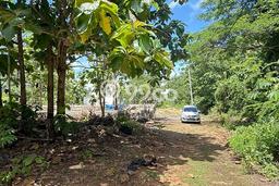 Tanah Dijual Lokasi Strategis di Badung dengan Luas 350m2 Tanah Dijual Lokasi Strategis di Badung dengan Luas 350m2
