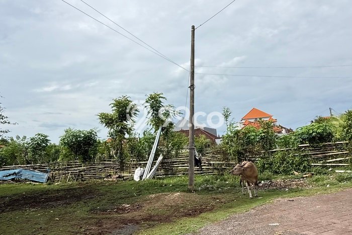 Tanah Dijual di Badung Seluas 250m2 Strategis Tanah Dijual di Badung Seluas 250m2 Strategis