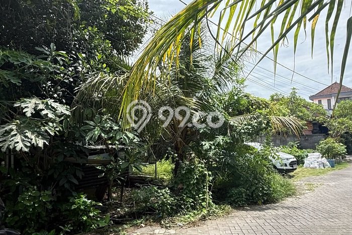 Tanah Dijual di Badung Seluas 1500m2 Strategis Tanah Dijual di Badung Seluas 1500m2 Strategis