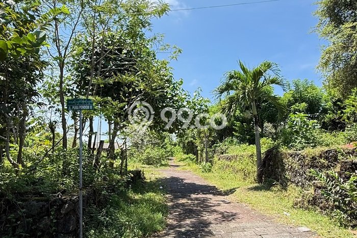 Tanah Investasi Dijual di Badung Punya Luas 2000m2 Tanah Investasi Dijual di Badung Punya Luas 2000m2
