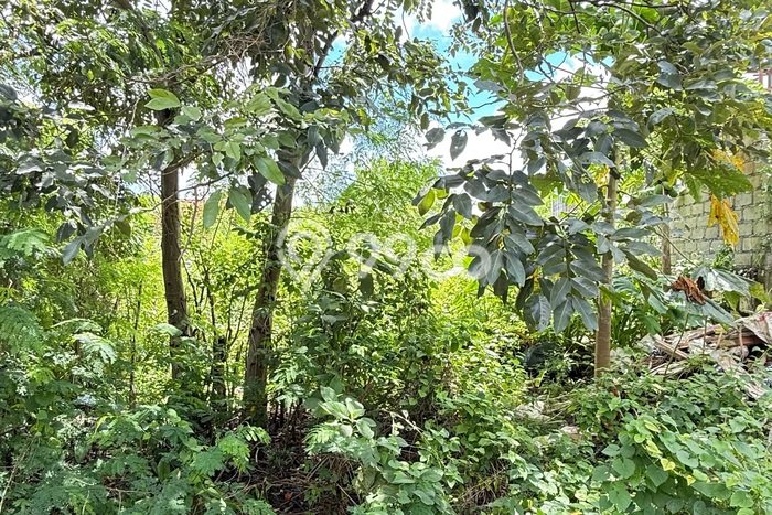 Dijual Tanah di Badung, Luas 200m2 SHM Dijual Tanah di Badung, Luas 200m2 SHM