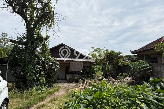 Tanah Dijual di Badung Seluas 1500m2 Strategis Tanah Dijual di Badung Seluas 1500m2 Strategis