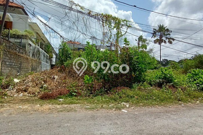 Lahan Dijual Lokasi Strategis di Badung dengan Luas 206m2 Lahan Dijual Lokasi Strategis di Badung dengan Luas 206m2