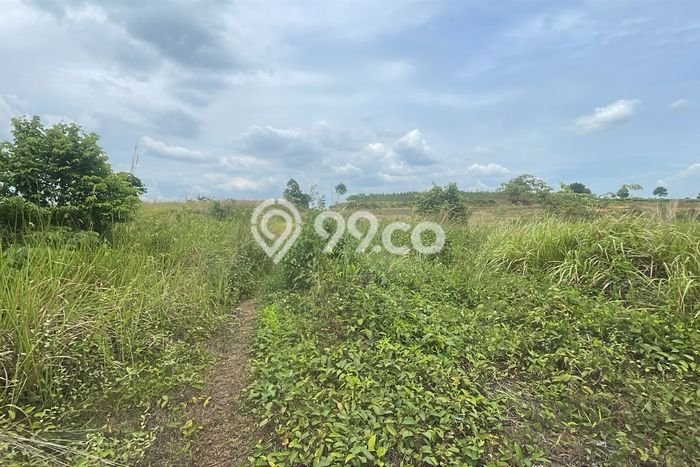 Kavling Tanah Dijual di Maja Lebak Spesifikasi 2.87e+06m2 Kavling Tanah Dijual di Maja Lebak Spesifikasi 2.87e+06m2
