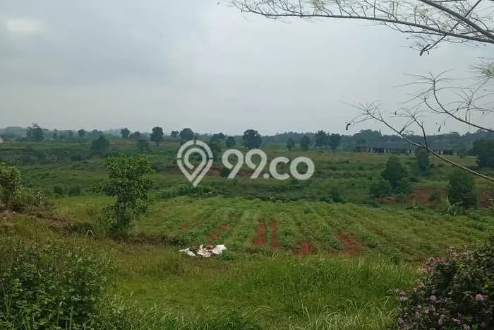 Kavling Tanah Dijual di Maja Lebak Spesifikasi 2.87e+06m2 Kavling Tanah Dijual di Maja Lebak Spesifikasi 2.87e+06m2