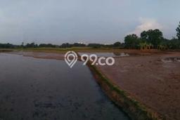 Kavling Tanah di Subang Dijual Luas 70000m2 Legalitas - Kavling Tanah di Subang Dijual Luas 70000m2 Legalitas -