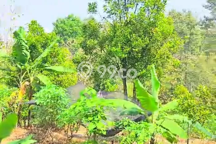 Lahan Kosong Dijual di Jombang dengan Area 5400m2 Lahan Kosong Dijual di Jombang dengan Area 5400m2