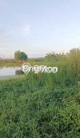 Tanah Kavling Dijual di Surabaya dengan Spesifikasi 200m2 Tanah Kavling Dijual di Surabaya dengan Spesifikasi 200m2