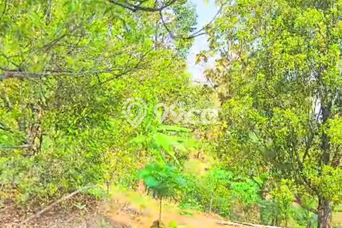 Lahan Kosong Dijual di Jombang dengan Area 5400m2 Lahan Kosong Dijual di Jombang dengan Area 5400m2