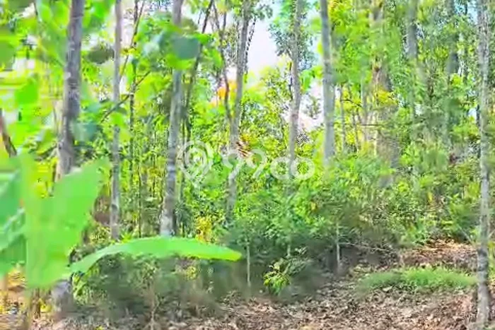 Lahan Kosong Dijual di Jombang dengan Area 5400m2 Lahan Kosong Dijual di Jombang dengan Area 5400m2