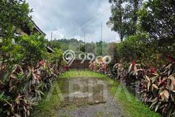 PELUANG INVESTASI! Vila Kawasan Lembang, Area 1000m², Hasil Tinggi PELUANG INVESTASI! Vila Kawasan Lembang, Area 1000m², Hasil Tinggi