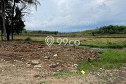 Tanah Dijual di Jembrana Seluas 4300m2 Strategis Tanah Dijual di Jembrana Seluas 4300m2 Strategis