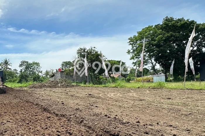 Lahan Strategis di Kalasan Dijual dengan Luas 100m2 Lahan Strategis di Kalasan Dijual dengan Luas 100m2