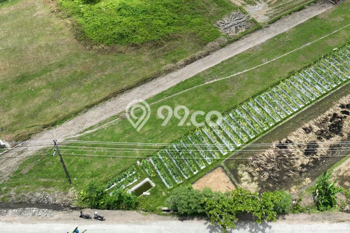 Tanah Dijual di Yogyakarta Seluas 110m2 Strategis Tanah Dijual di Yogyakarta Seluas 110m2 Strategis