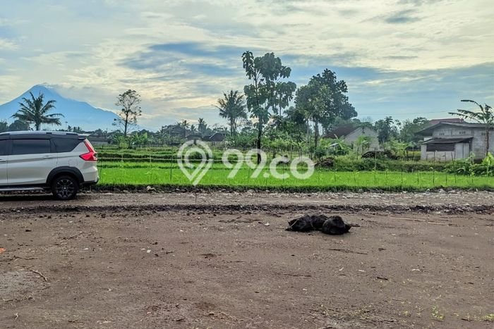 Tanah Kosong Dijual di Sleman dengan Area 139m2 Tanah Kosong Dijual di Sleman dengan Area 139m2