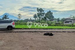 Tanah Kosong Dijual di Sleman dengan Area 139m2 Tanah Kosong Dijual di Sleman dengan Area 139m2