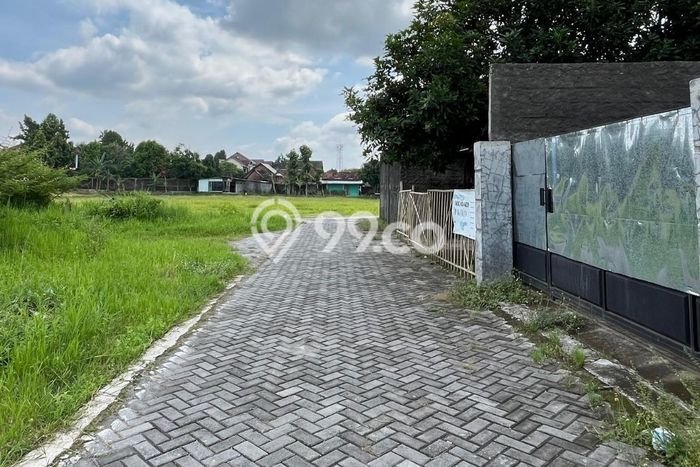 Jarang Ada! Tanah di Depok Punya Luas 216m2 SHM Jarang Ada! Tanah di Depok Punya Luas 216m2 SHM