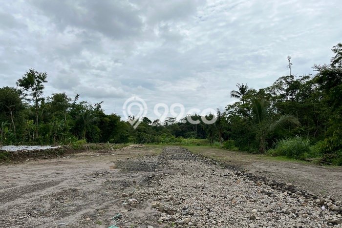 Untuk Dijual Tanah 119m2 di Sleman, Yogyakarta Untuk Dijual Tanah 119m2 di Sleman, Yogyakarta