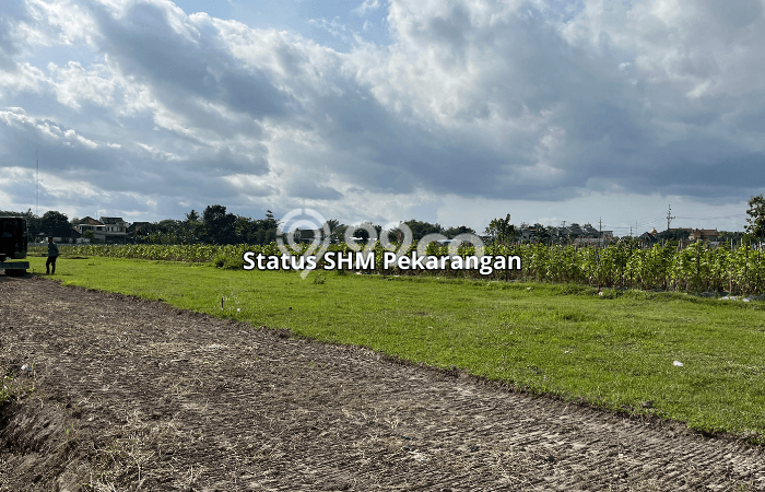 Lahan untuk Dijual Lokasi Gamping, Sleman Luas 110m2 SHM Lahan untuk Dijual Lokasi Gamping, Sleman Luas 110m2 SHM