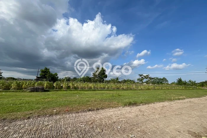 Lahan Investasi Lokasi Godean Sleman SHM Lahan Investasi Lokasi Godean Sleman SHM