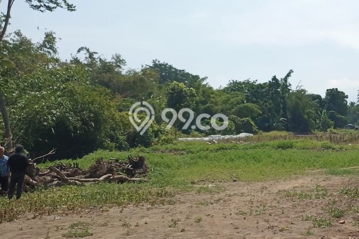 Tanah Siap Bangun Dijual di Yogyakarta Punya Luas 168m2 Tanah Siap Bangun Dijual di Yogyakarta Punya Luas 168m2