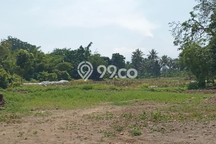 Tanah Siap Bangun Dijual di Yogyakarta Punya Luas 168m2 Tanah Siap Bangun Dijual di Yogyakarta Punya Luas 168m2