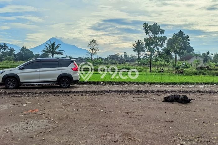 Tanah Kosong Dijual di Sleman dengan Area 139m2 Tanah Kosong Dijual di Sleman dengan Area 139m2