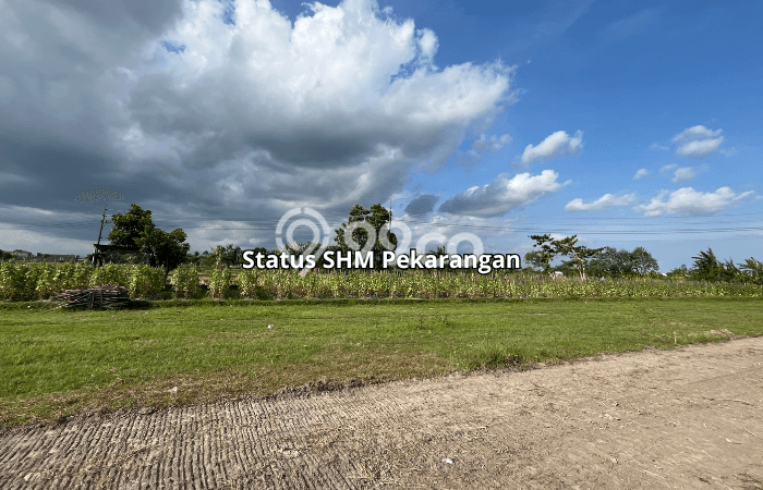 Tanah Dijual Lokasi Godean, Sleman Luas 110m2 Legalitas Aman Tanah Dijual Lokasi Godean, Sleman Luas 110m2 Legalitas Aman
