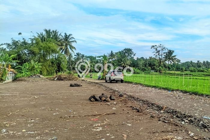 Tanah Kosong Dijual di Sleman dengan Area 139m2 Tanah Kosong Dijual di Sleman dengan Area 139m2