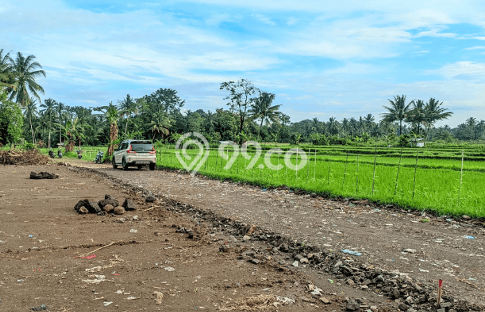 Jarang Ada! Tanah di Sleman Punya Luas 139m2 SHM Jarang Ada! Tanah di Sleman Punya Luas 139m2 SHM