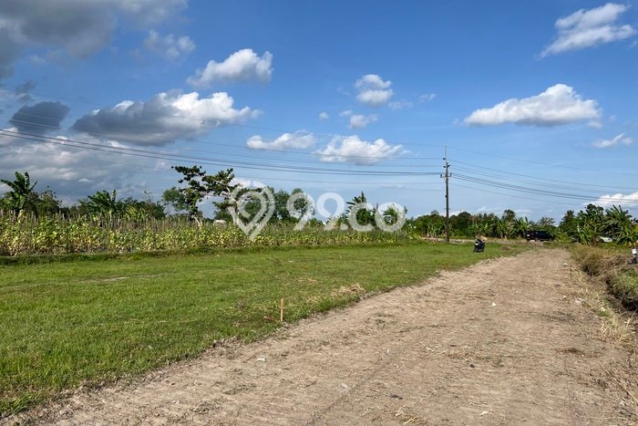 Lahan Investasi Lokasi Godean Sleman SHM Lahan Investasi Lokasi Godean Sleman SHM