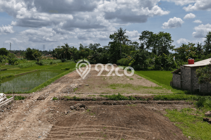 Kavling Tanah untuk Dijual di Sleman, Yogyakarta, Luas 100m2 Kavling Tanah untuk Dijual di Sleman, Yogyakarta, Luas 100m2