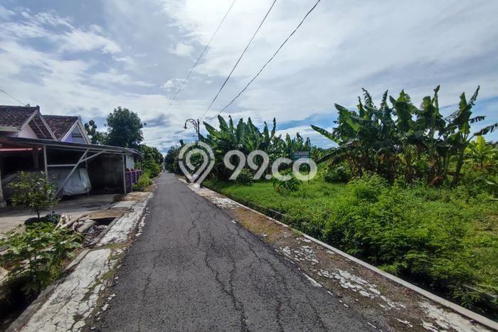 Untuk Dijual Tanah di Madiun Madiun Luas 80m2 SHM Untuk Dijual Tanah di Madiun Madiun Luas 80m2 SHM