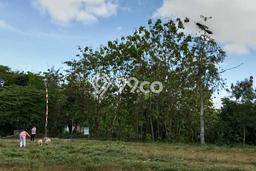 Tanah untuk Dijual Lokasi Madiun, Madiun Luas 97m2 SHM Tanah untuk Dijual Lokasi Madiun, Madiun Luas 97m2 SHM