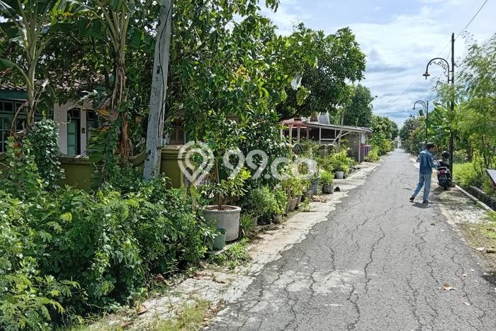 Lahan Investasi Lokasi Madiun Madiun SHM Lahan Investasi Lokasi Madiun Madiun SHM