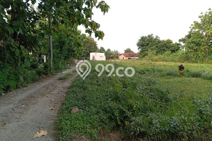 Tanah Dijual Lokasi Madiun Madiun SHM Tanah Dijual Lokasi Madiun Madiun SHM
