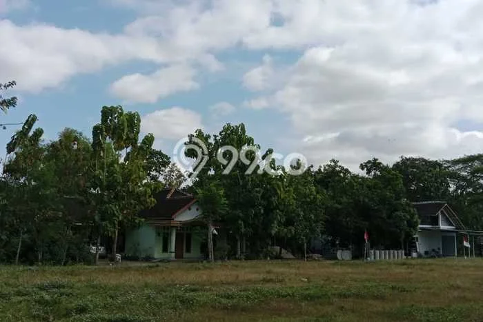 Tanah untuk Dijual Lokasi Madiun, Madiun Luas 97m2 SHM Tanah untuk Dijual Lokasi Madiun, Madiun Luas 97m2 SHM