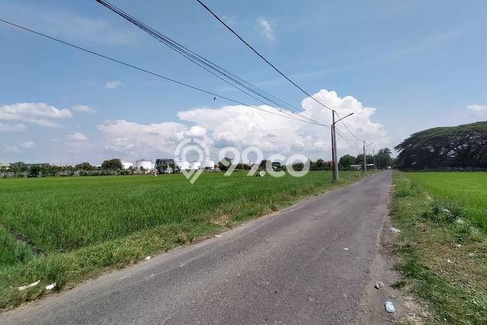 Tanah untuk Dijual Lokasi Madiun, Madiun Luas 96m2 SHM Tanah untuk Dijual Lokasi Madiun, Madiun Luas 96m2 SHM