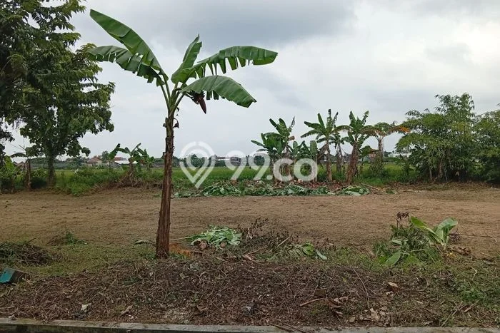 Lahan untuk Dijual di Madiun Madiun Luas 80m2 Lahan untuk Dijual di Madiun Madiun Luas 80m2