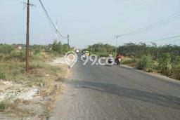 Lahan Dijual Lokasi Kronjo, Tangerang dengan Luas Tanah 210000m2 dan Status SHM Lahan Dijual Lokasi Kronjo, Tangerang dengan Luas Tanah 210000m2 dan Status SHM