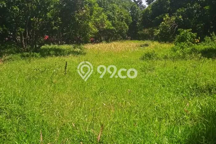 Kavling Tanah Dijual di Maja Lebak Spesifikasi 14000m2 Kavling Tanah Dijual di Maja Lebak Spesifikasi 14000m2